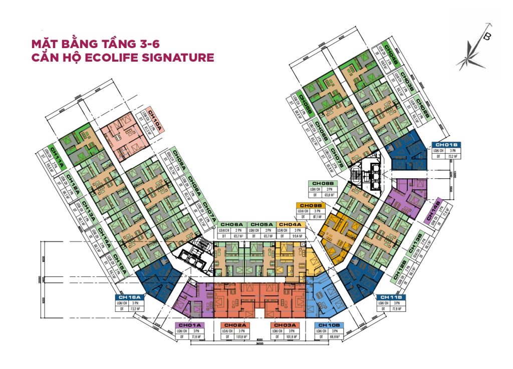 Bản vẽ thiết kế mặt bằng tầng điển hình căn hộ thương mại Ecolife Signature dự án Ecohome Hòa Hiệp